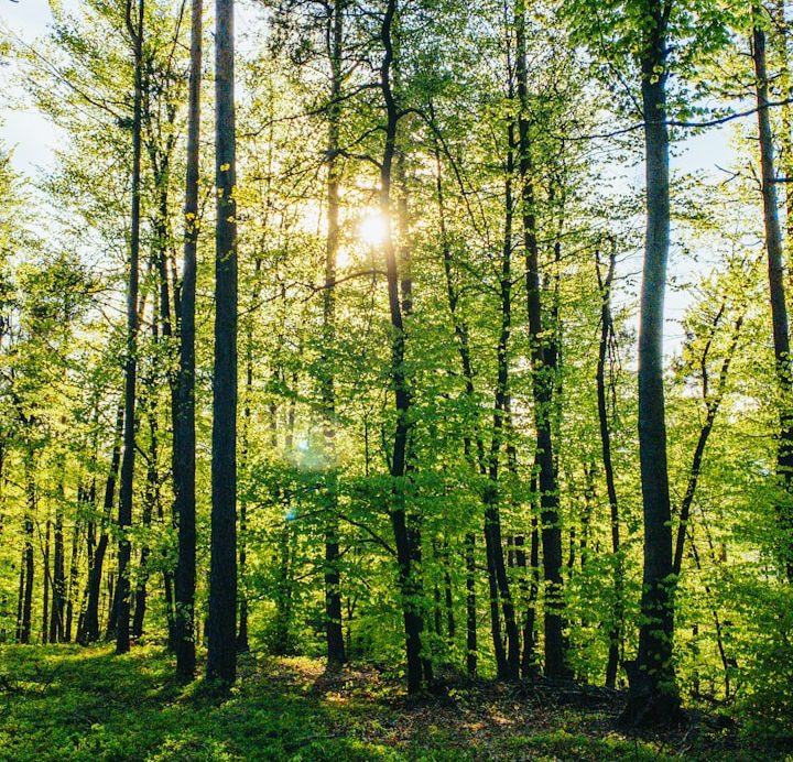 Werde deinen Stress und die Unsicherheit los Neuro-Coaching und EMDR